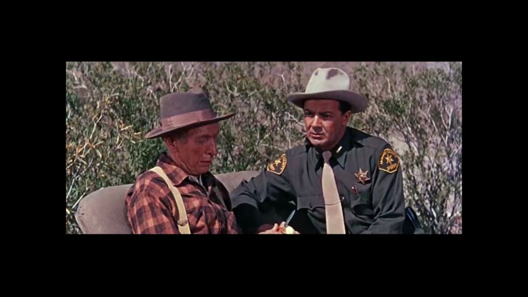 (Bild für) Der Mann aus Arizona - 1959 (DVD+R uncut)