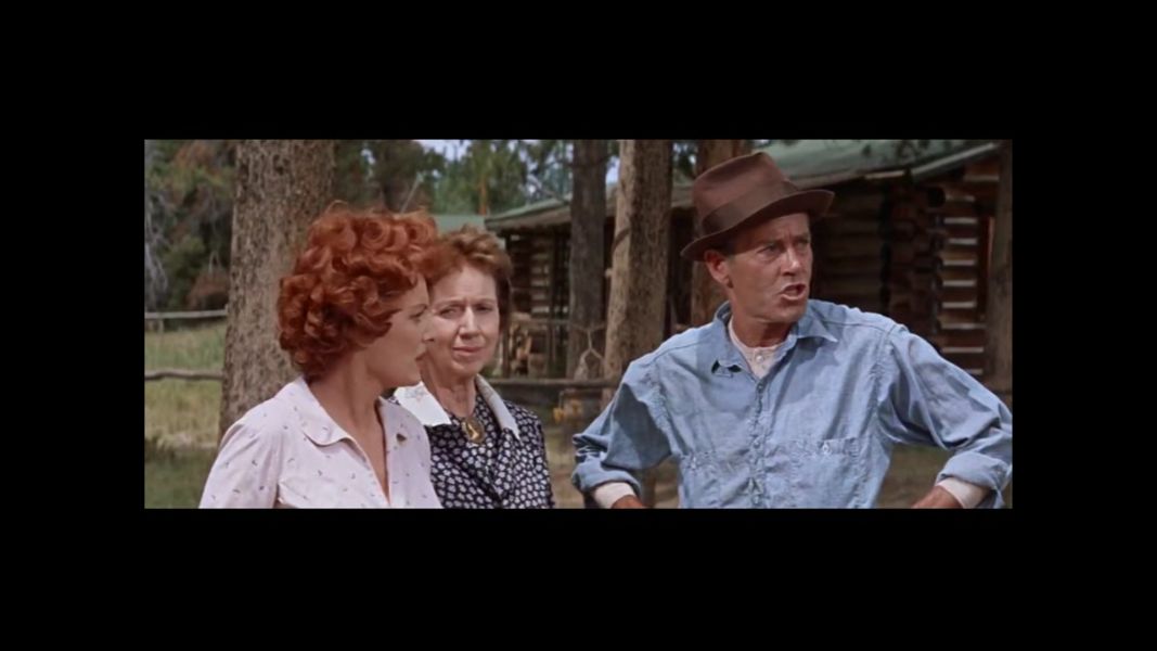 (Bild für) Sommer der Erwartung - 1963 (DVD+R uncut)