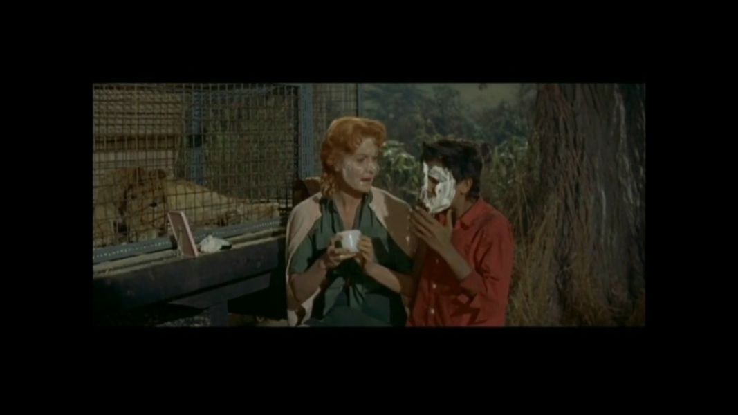 (Bild für) Odongo - 1956 (DVD+R uncut)