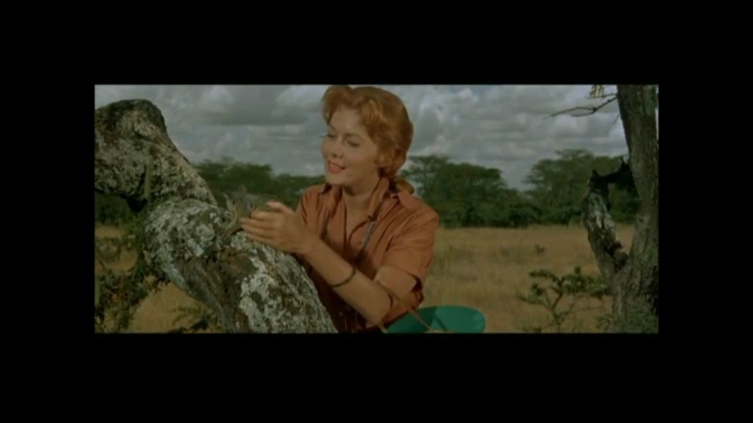 (Bild für) Odongo - 1956 (DVD+R uncut)