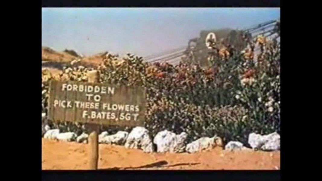 (Bild für) ...denn der Wind kann nicht lesen - 1958 (DVD+R)