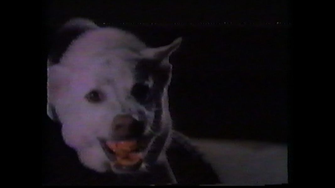 (Bild für) Werewolf - Pilotfilm von 1987 (DVD+R)