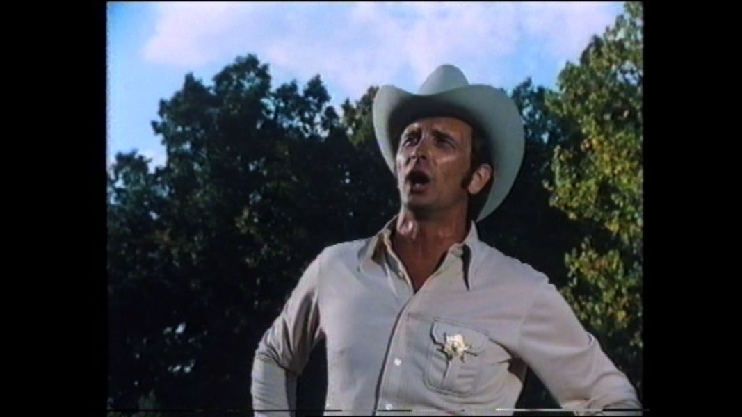 (Bild für) Walking Tall - Teil 3 - 1977 (DVD+R uncut)