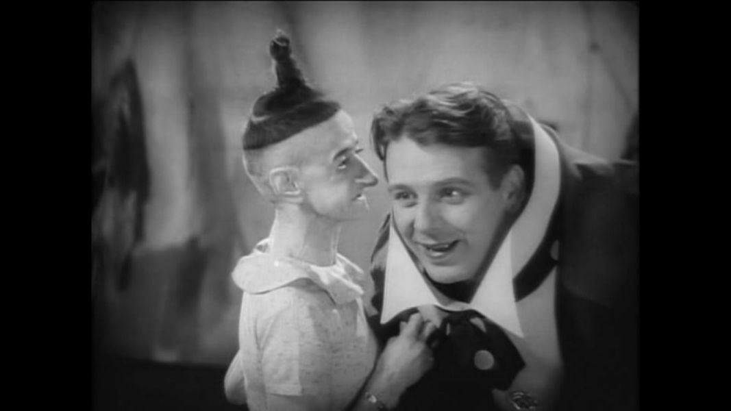 (Bild für) Freaks - 1932 (DVD+R uncut)