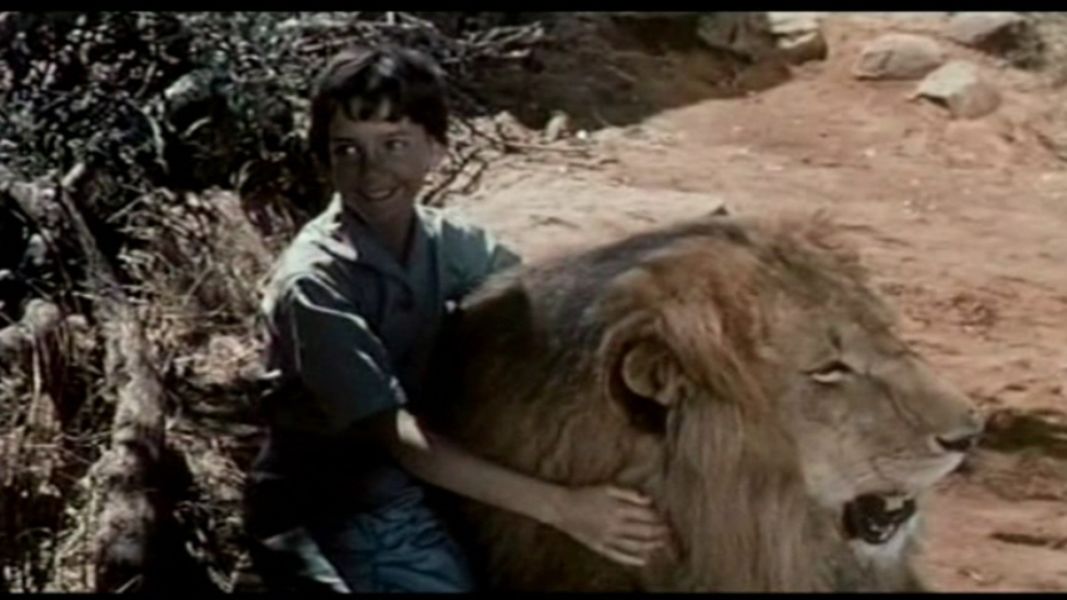 (Bild für) Patricia und der Löwe - 1962 (DVD+R uncut)