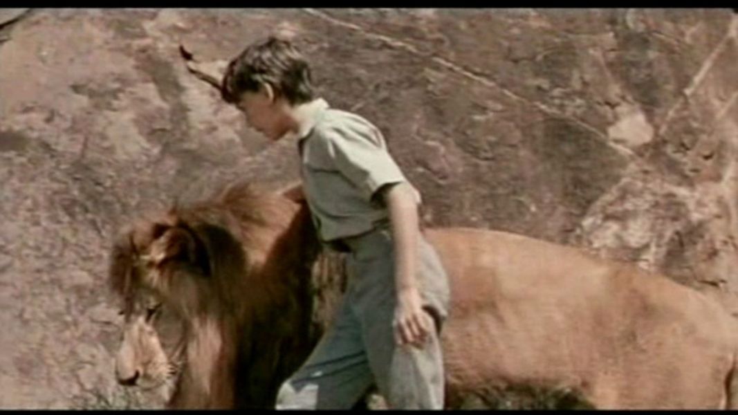 (Bild für) Patricia und der Löwe - 1962 (DVD+R uncut)