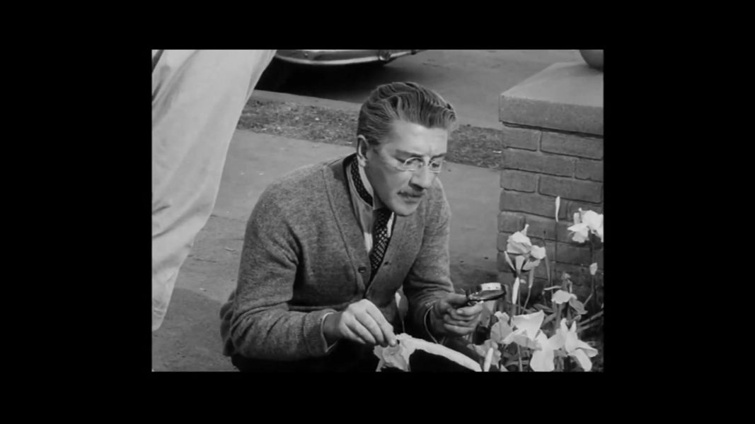 (Bild für) Belvedere, das verkannte Genie - 1948 (DVD+R uncut)