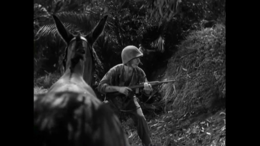 (Bild für) Francis, ein Esel - Herr General - 1950 (DVD+R uncut)