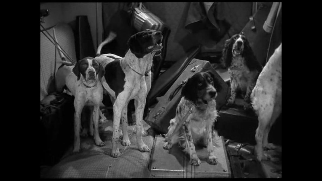 (Bild für) Atemlos nach Florida - 1942 (DVD+R uncut)