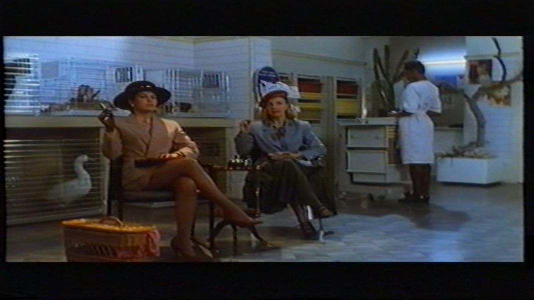 (Bild für) Ein Affenzirkus - 1992 (DVD+R uncut)
