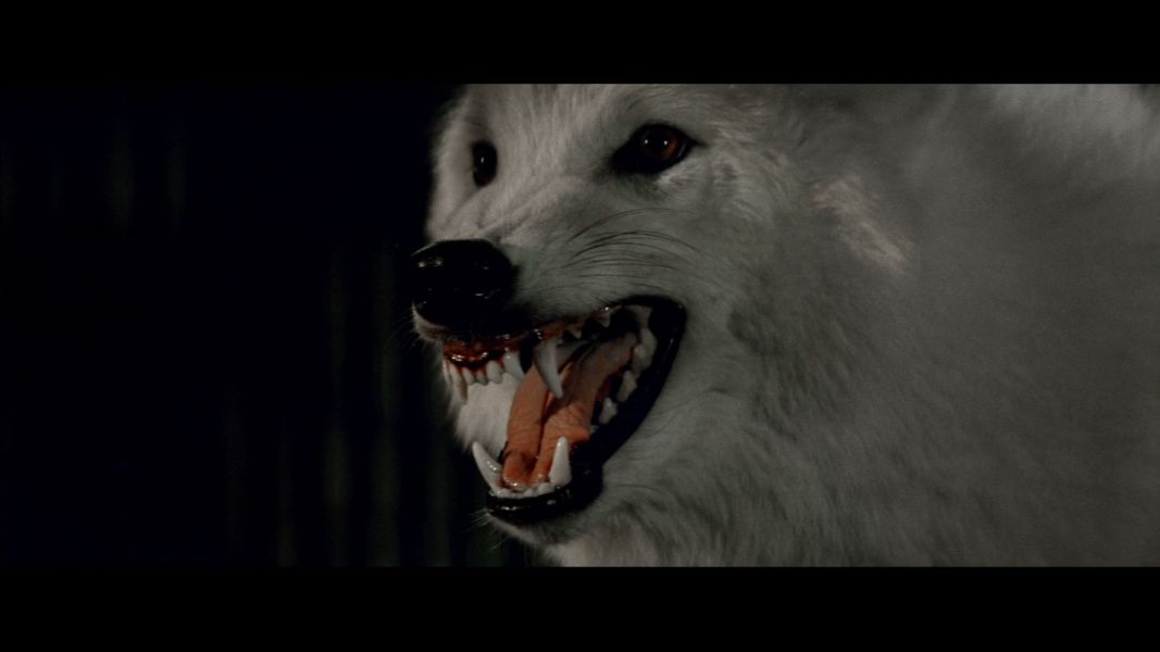 (Bild für) Wolfen - 1981 (Blu-ray-R)