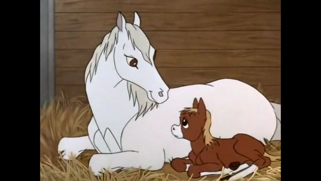 (Bild für) Ein Cowboy sieht rot - 1965 (DVD+R uncut)