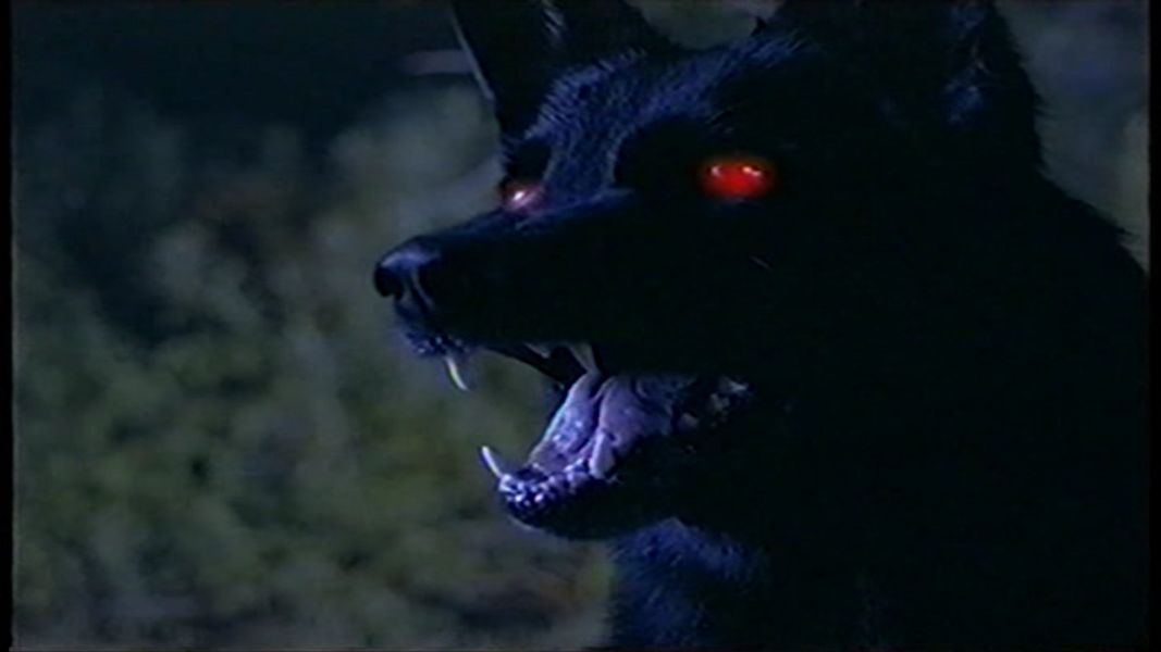 (Bild für) Satan's School for Girls - 2000 (DVD+R uncut)