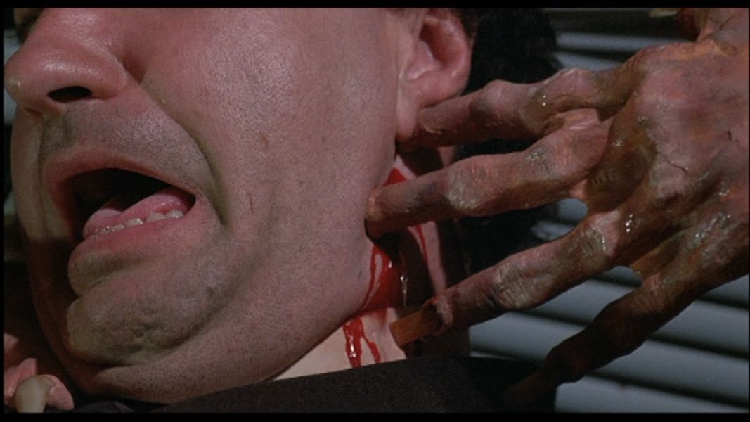 (Bild für) Draculas Witwe - 1988 (DVD+R uncut)