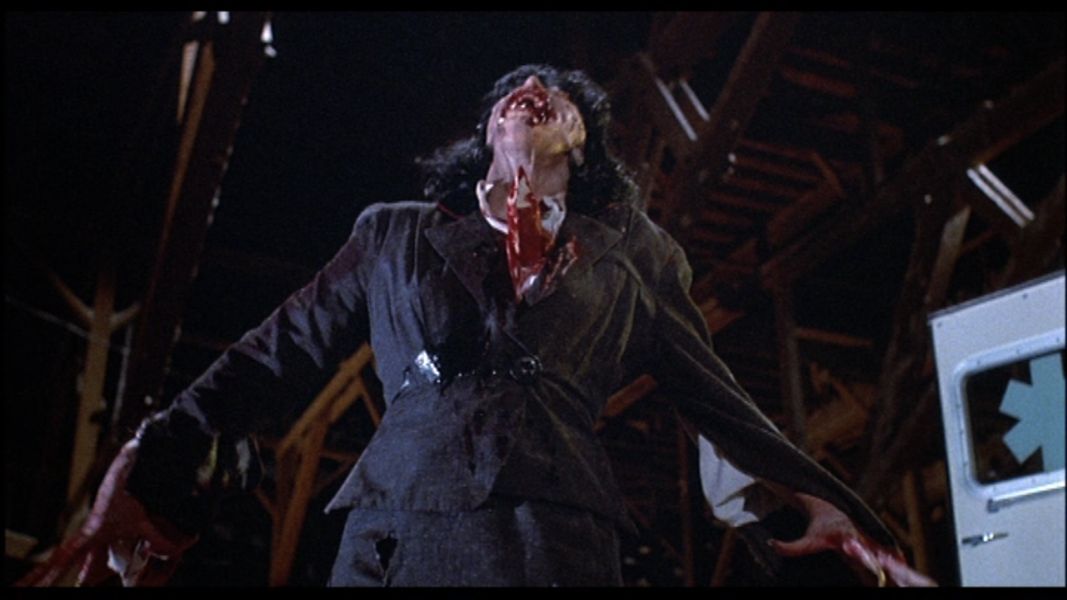(Bild für) Draculas Witwe - 1988 (DVD+R uncut)