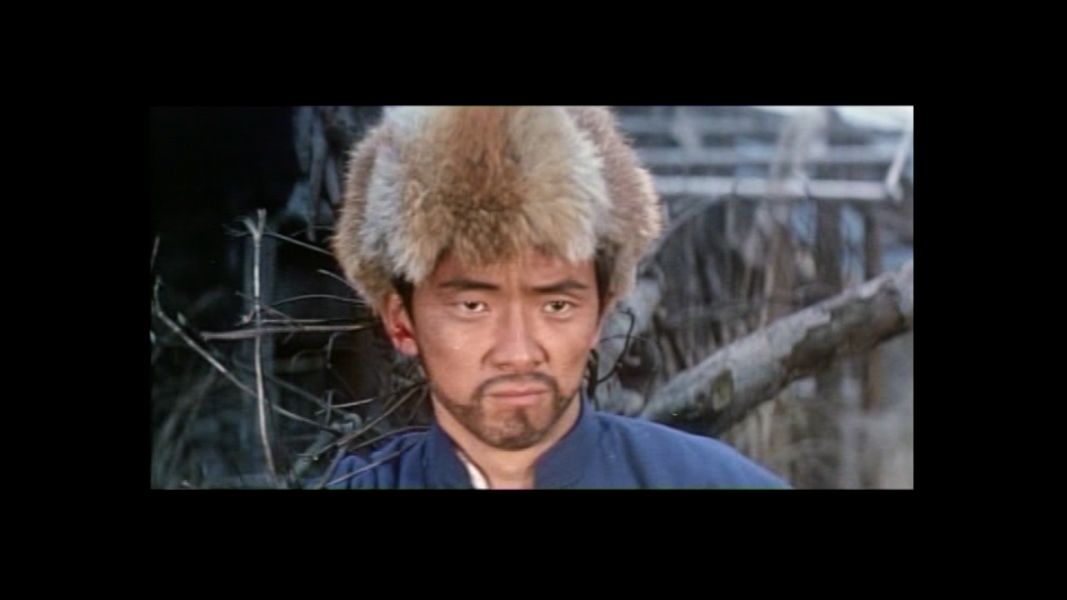 (Bild für) Die Todeskarawane der Shaolin - 1972 (DVD+R uncut)