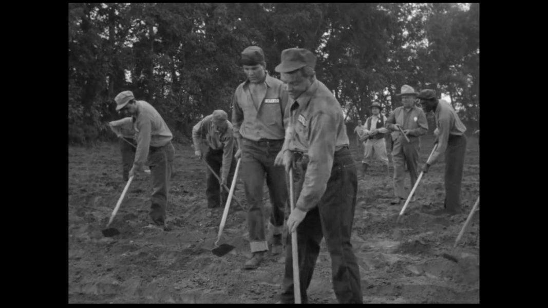 (Bild für) Den Morgen wirst du nicht erleben - 1950 (DVD+R uncut)