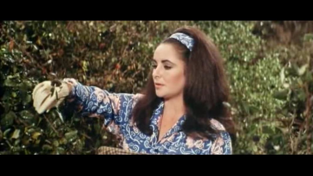 (Bild für) Spiegelbild im goldenen Auge - 1967 (DVD+R uncut)
