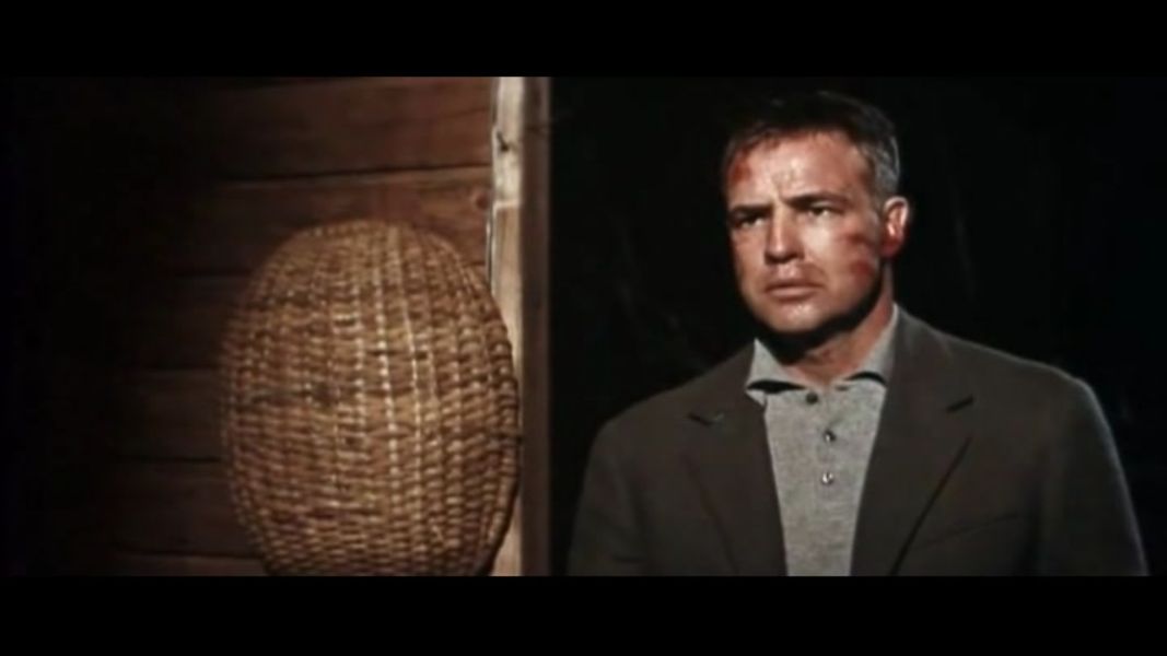 (Bild für) Spiegelbild im goldenen Auge - 1967 (DVD+R uncut)