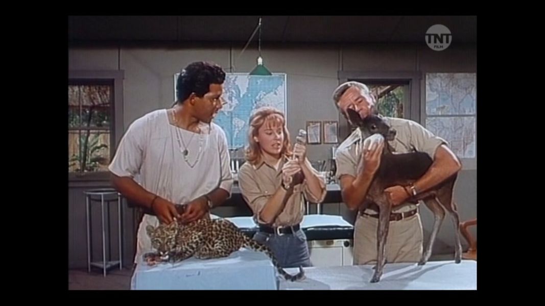 (Bild für) Clarence, der schielende Löwe - 1965 (DVD+R uncut)