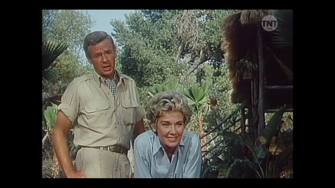 (Bild für) Clarence, der schielende Löwe - 1965 (DVD+R uncut)