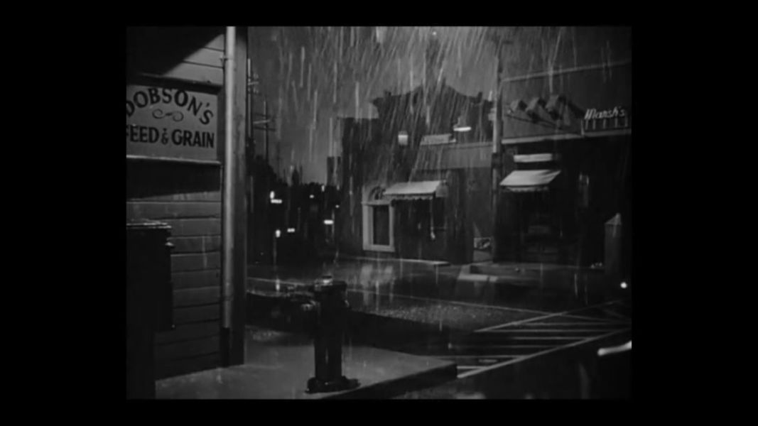 (Bild für) Gefährliche Leidenschaft - 1950 (DVD+R uncut)