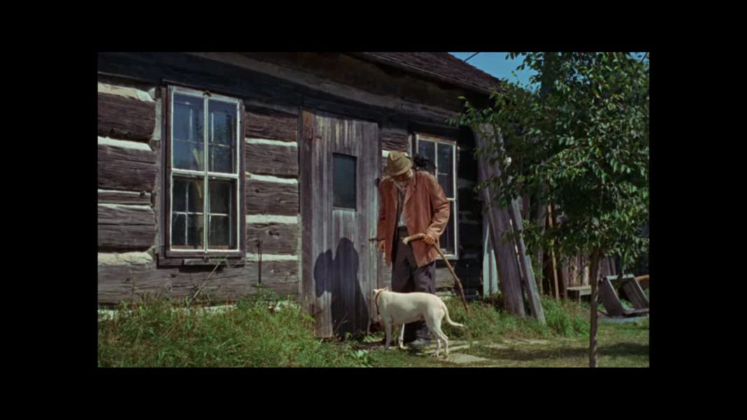 (Bild für) Die Unglaubliche Reise - 1963 (DVD+R uncut)