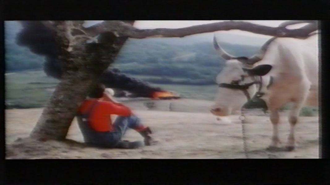 (Bild für) Die Filzlaus kehrt zurück - 1971 (DVD+R cut)