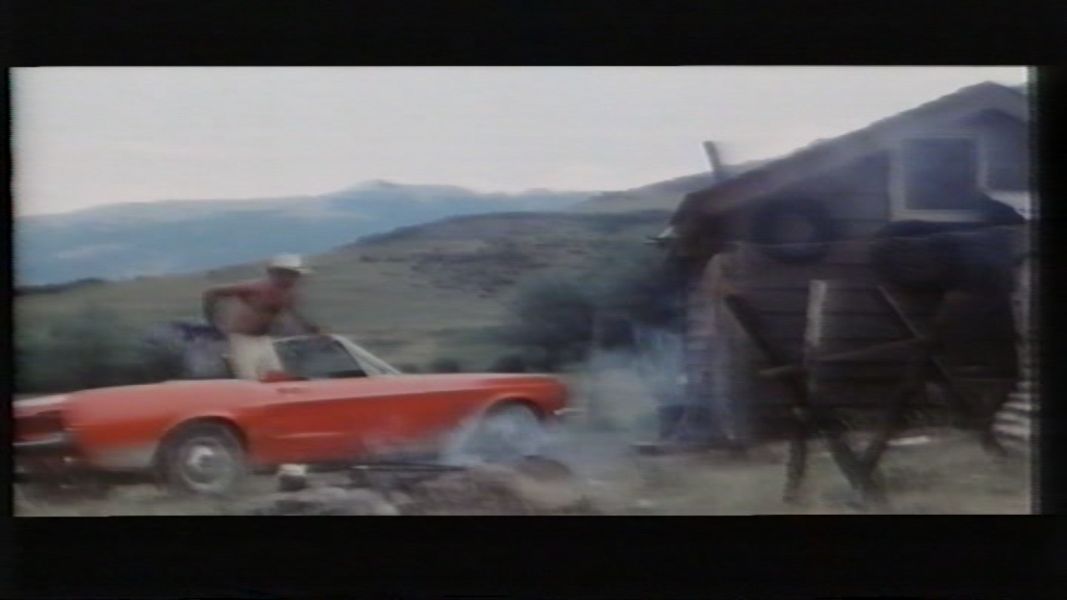 (Bild für) Die Filzlaus kehrt zurück - 1971 (DVD+R cut)