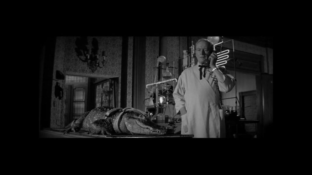 (Bild für) Im Sumpf des Grauens - 1959 (DVD+R uncut)