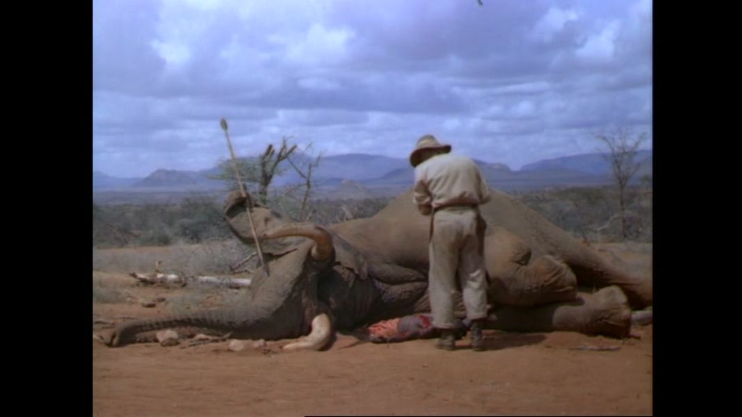 (Bild für) König Salomons Diamanten - 1950 (DVD+R uncut)
