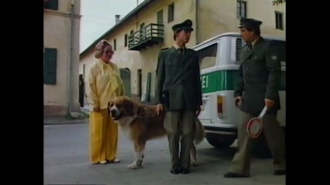 (Bild für) Der Neger Erwin - 1980 (DVD+R uncut)