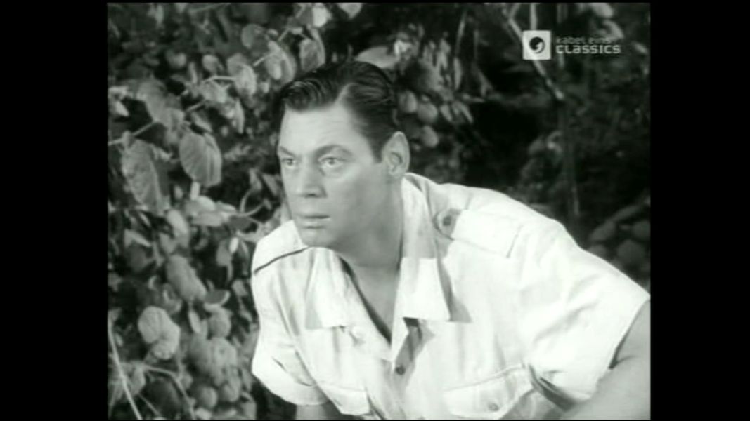 (Bild für) Die Dschungelgöttin - 1950 (DVD+R uncut)