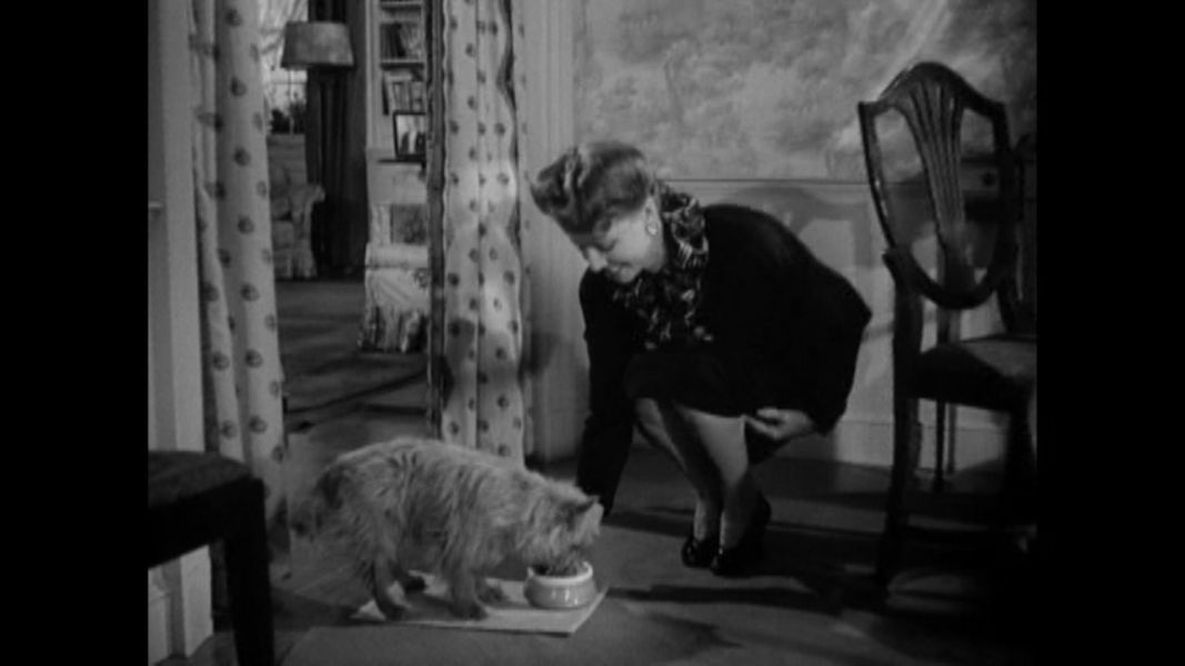 (Bild für) Unser trautes Heim - 1942 (DVD+R uncut)