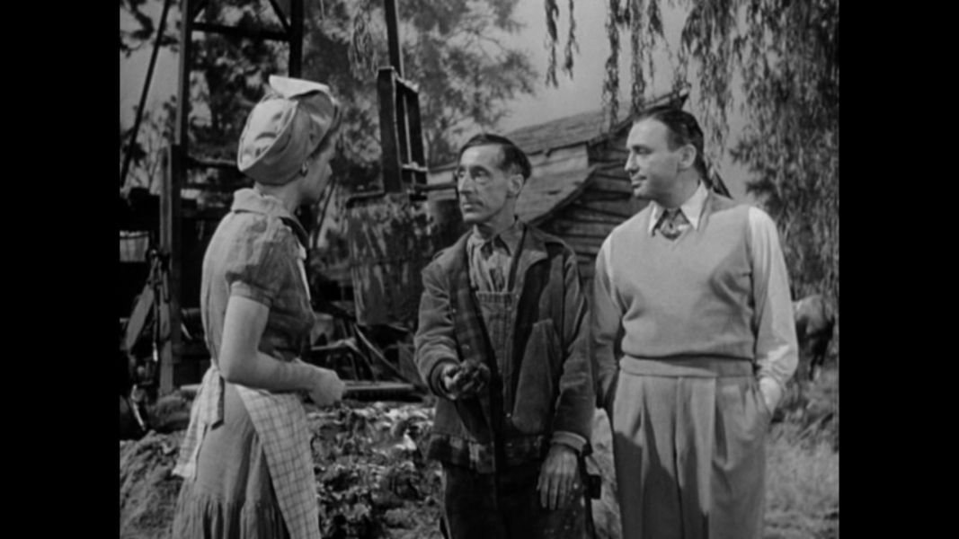 (Bild für) Unser trautes Heim - 1942 (DVD+R uncut)