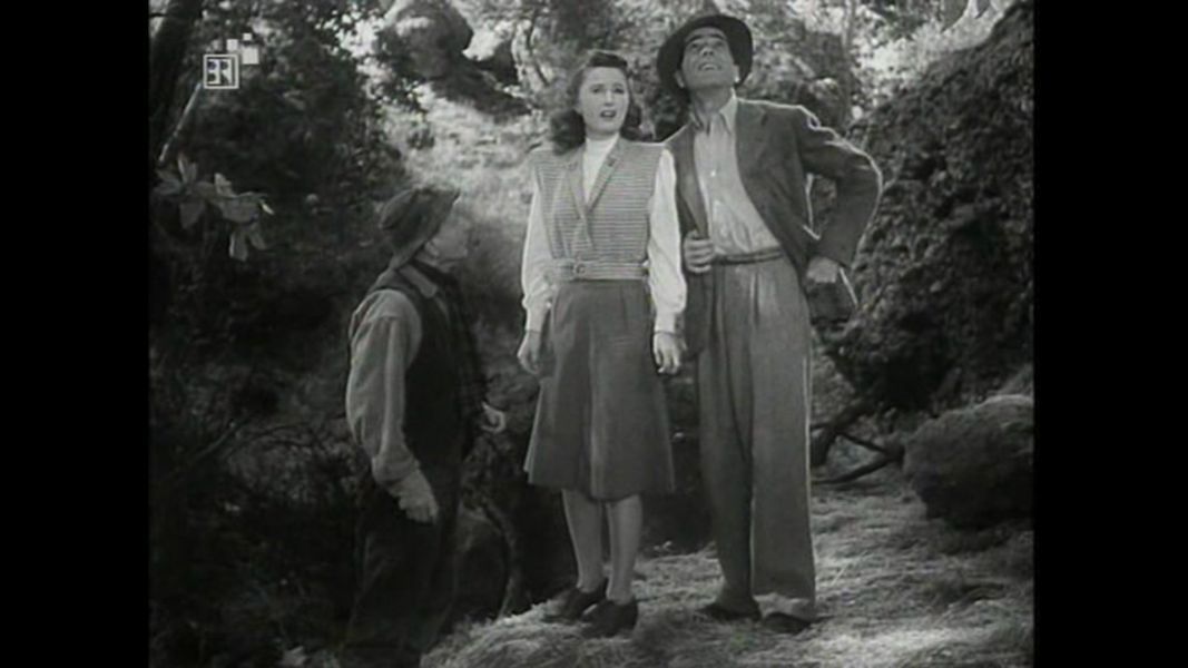 (Bild für) Die Zweite Mrs. Carroll - 1947 (DVD+R uncut)