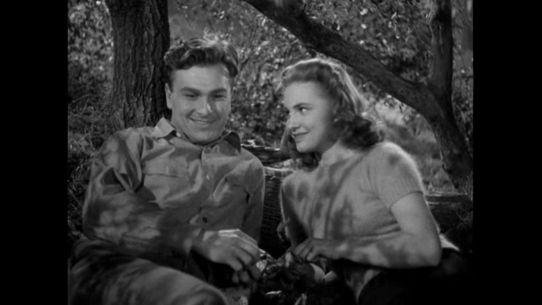 (Bild für) Von Stadt zu Stadt - 1941 (DVD+R uncut)