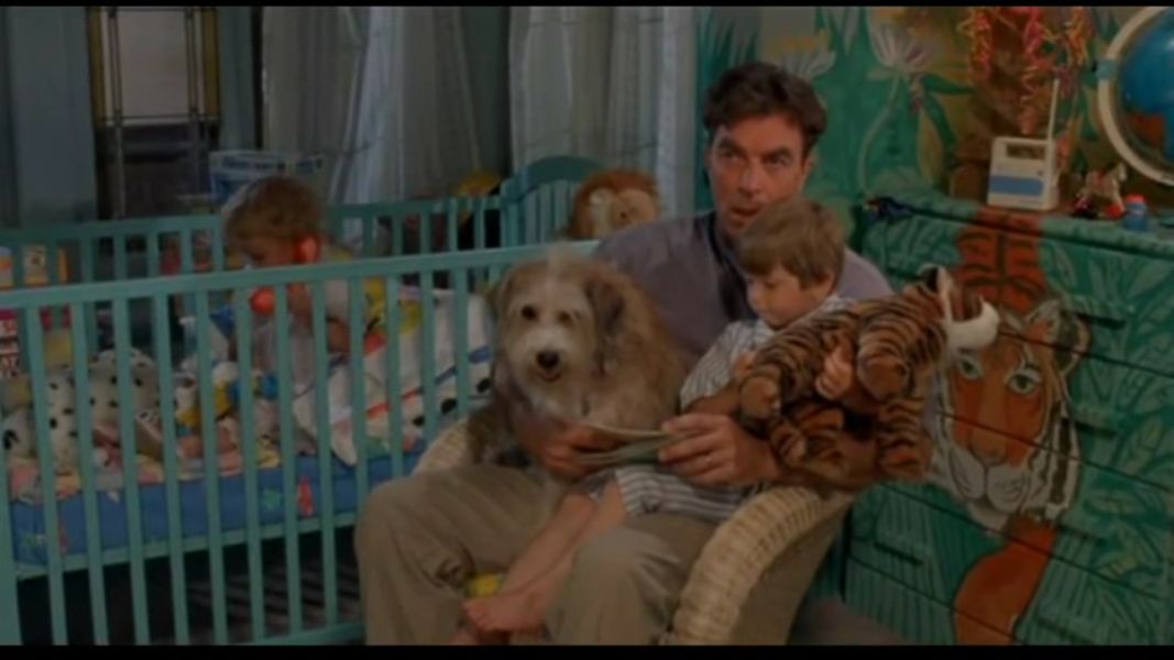 (Bild für) Eine Ganz normal verrückte Familie - 1992 (DVD+R uncut)
