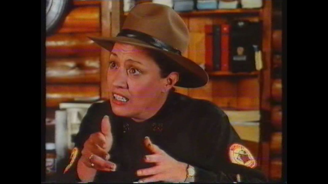 (Bild für) American Eiskrem II - 1988 (DVD+R uncut)