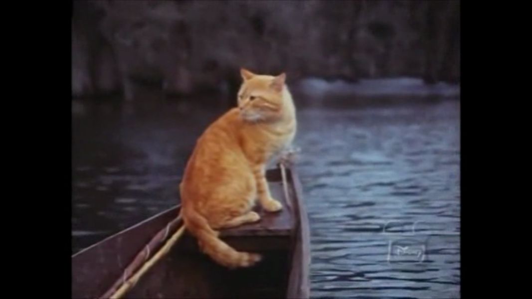 (Bild für) Auf der Suche nach der silbernen Glocke - 1971 (DVD+R uncut)