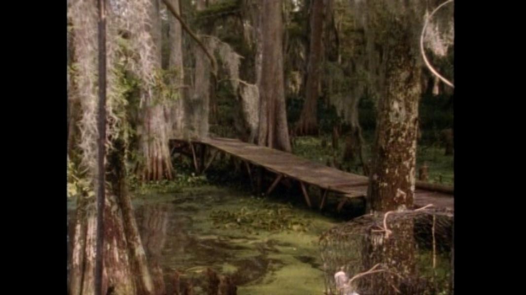 (Bild für) Gator Bait II: Cajun Justice - 1988 (DVD+R uncut)