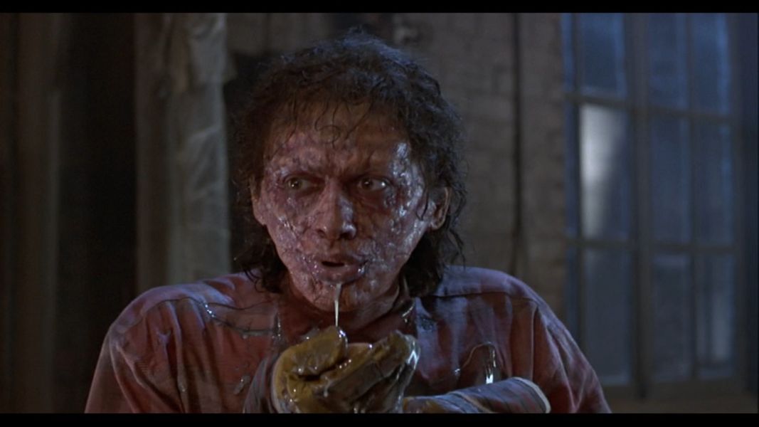 (Bild für) Die Fliege - 1986 (Blu-ray-R uncut)