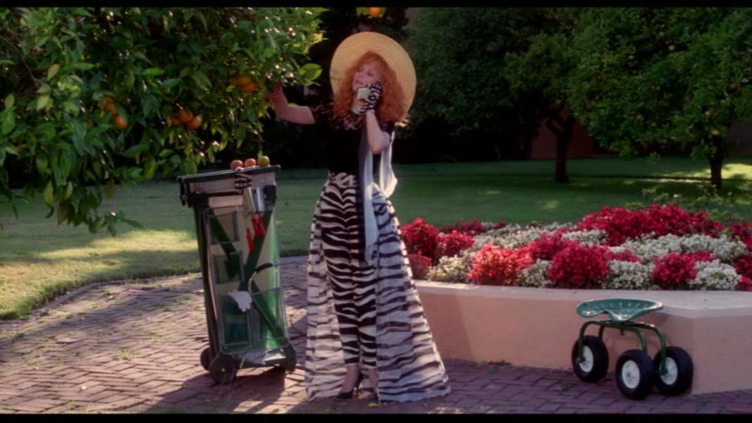 (Bild für) Die Wilde von Beverly Hills - 1989 (DVD+R uncut)