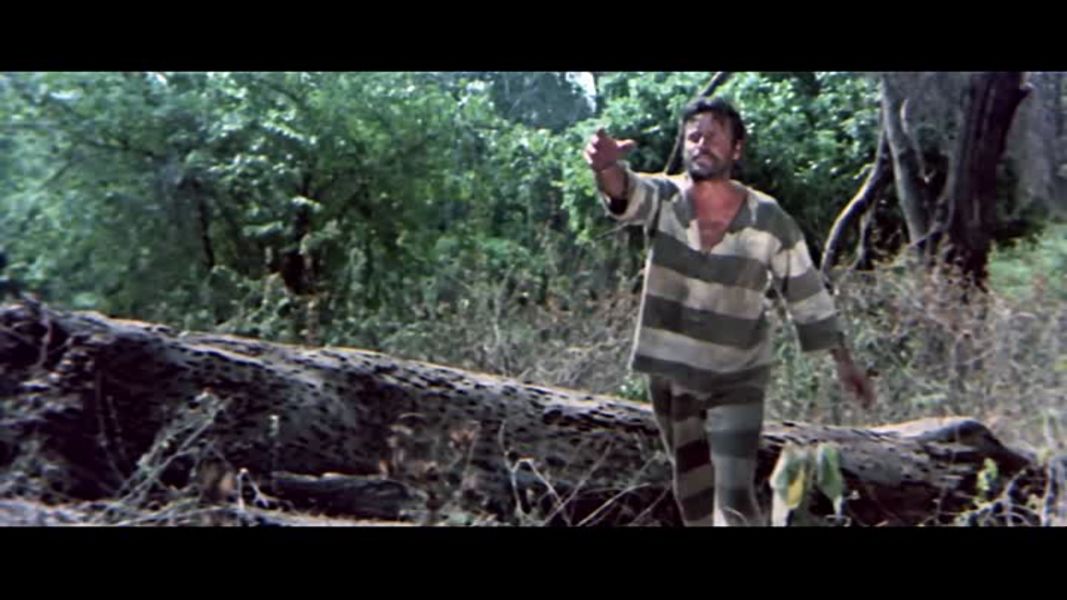 (Bild für) ...sie nannten ihn Zambo - 1972 (DVD+R uncut)