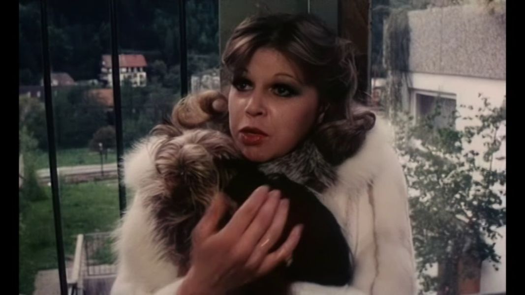 (Bild für) Anita Drögemöller - 1976 (DVD+R uncut)
