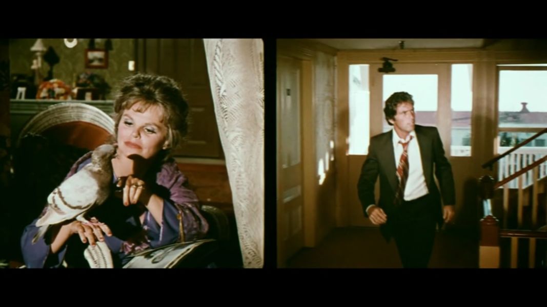 (Bild für) Bis die Gänsehaut erstarrt - 1973 (DVD+R uncut)