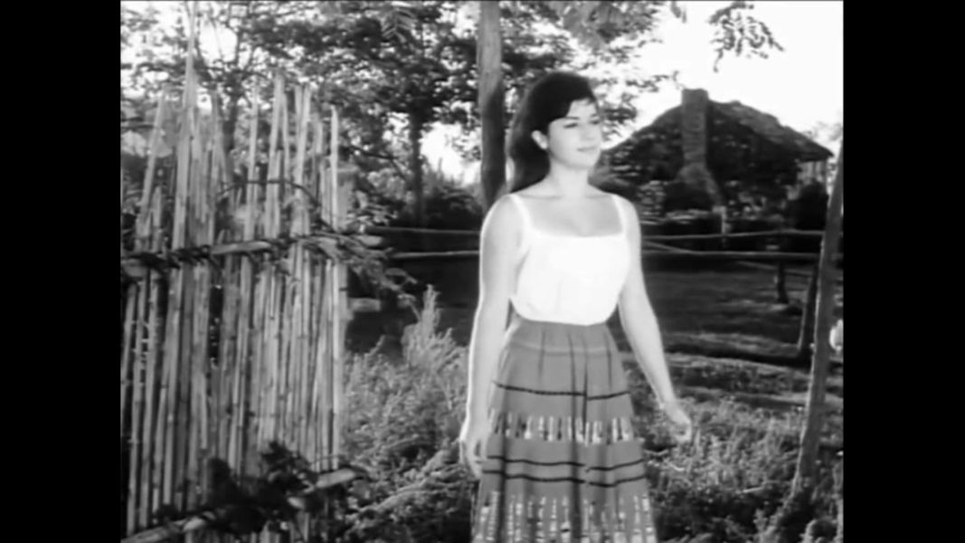 (Bild für) Das Mädchen mit den schmalen Hüften - 1961 (DVD+R uncut)