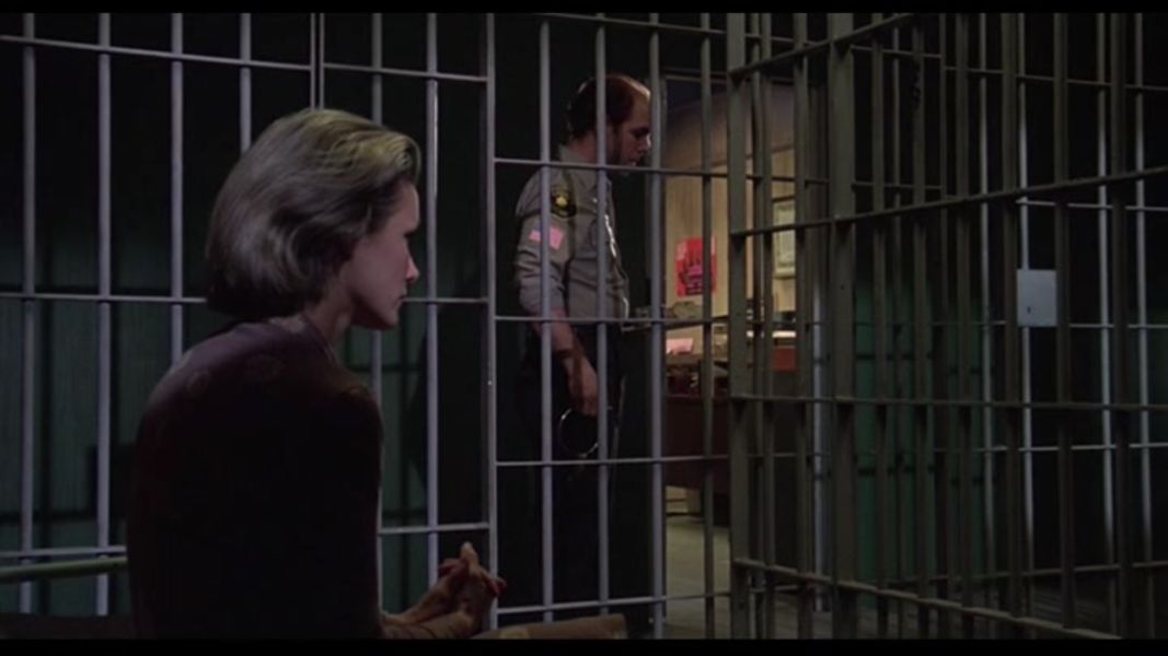 (Bild für) Vergewaltigt hinter Gittern - 1990 (DVD+R uncut)