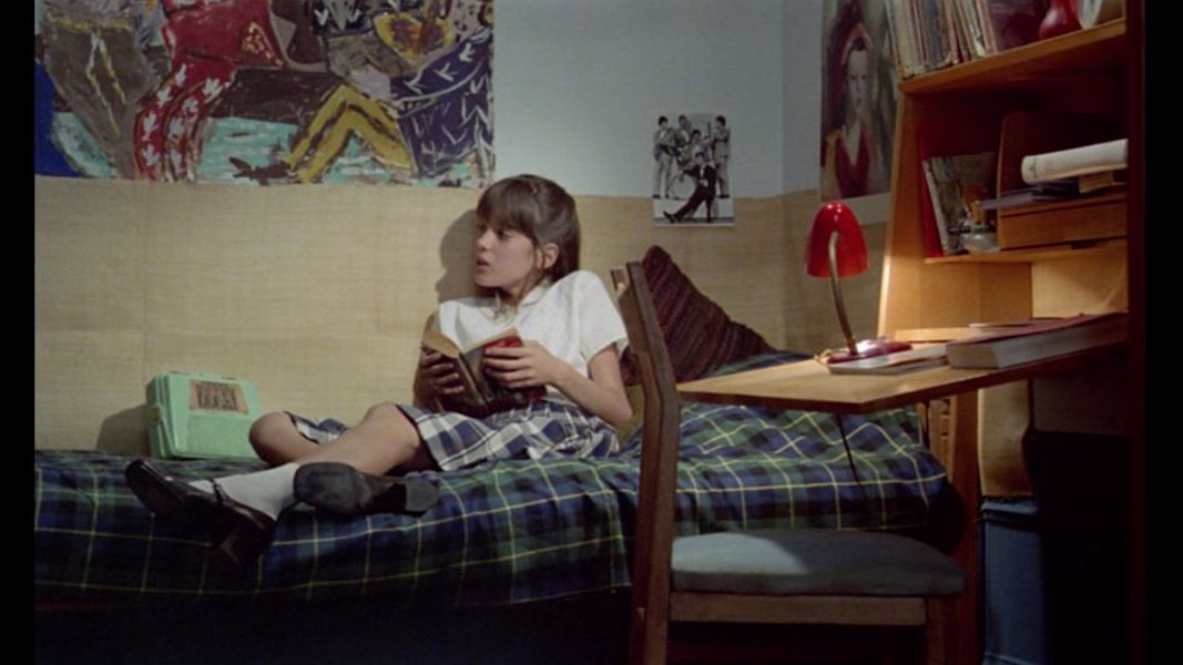 (Bild für) Die Kleinen Pariserinnen - 1977 (DVD+R uncut)