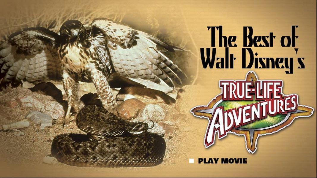 (Bild für) Abenteuer der Natur - 1975 (DVD+R uncut)